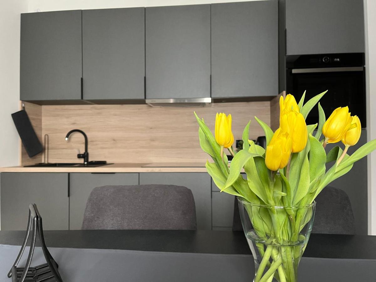 Apartment Kammi Zagreb Dış mekan fotoğraf